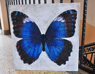 Colorful butterfly string art
